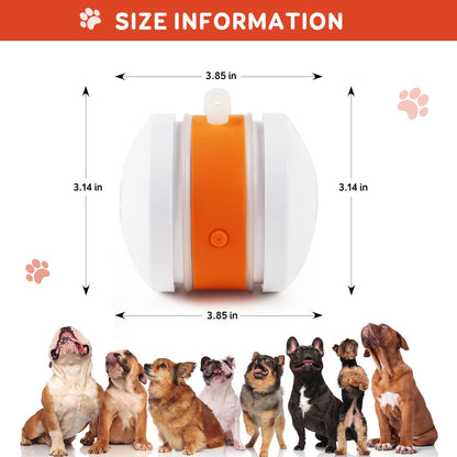 🐶The PetSkitter™ — The Smart Toy Pets Can’t Ignore🐱
