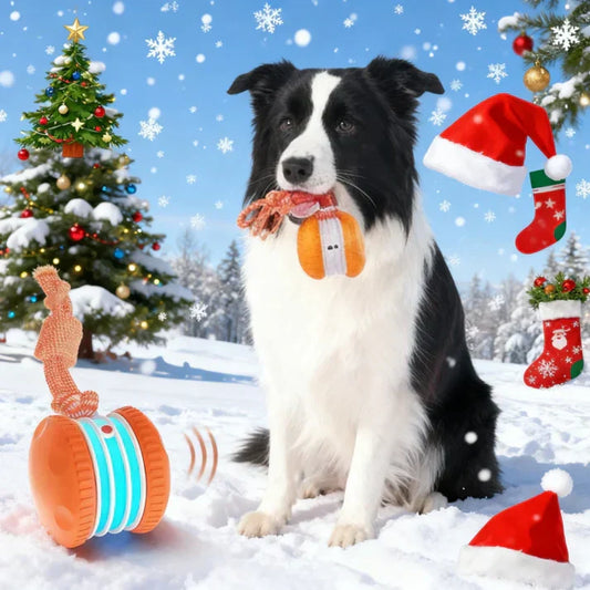 🐶The PetSkitter™ — The Smart Toy Pets Can’t Ignore🐱